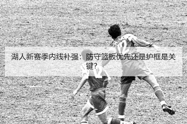 湖人新赛季内线补强：防守篮板优先还是护框是关键？